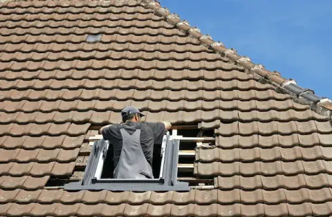 Pose de velux - Gries